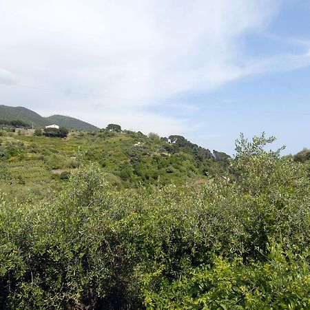 Villa Caribe Affittacamere Monterosso al Mare Dış mekan fotoğraf